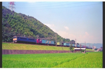 JR貨物 国鉄EF65形電気機関車 EF65 21 鉄道フォト・写真 by 丹波篠山さん 高槻駅：1997年07月31日00時ごろ