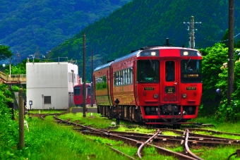 キハ185-1004 鉄道フォト・写真
