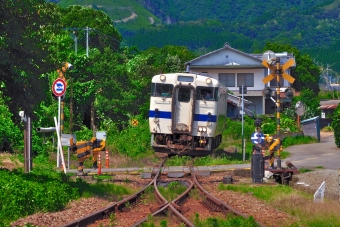 日南マリーン号(快速) 鉄道フォト・写真