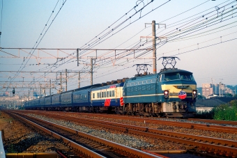 JR西日本 国鉄EF66形電気機関車 なは・あかつき EF66 46 鉄道フォト・写真 by 丹波篠山さん 高槻駅：2005年10月30日00時ごろ