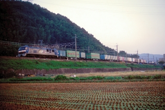 JR貨物 EF210形 EF210-105 鉄道フォト・写真 by 丹波篠山さん 高槻駅：2005年10月30日00時ごろ