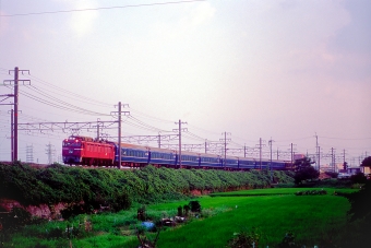 JR西日本 国鉄24系客車 オハネ25形 日本海(特急) EF81 46 鉄道フォト・写真 by 丹波篠山さん 高槻駅：2005年07月21日00時ごろ