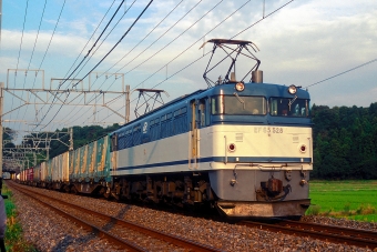 JR貨物 国鉄EF65形電気機関車 EF65 528 鉄道フォト・写真 by 丹波篠山さん 物井駅：2005年11月03日00時ごろ