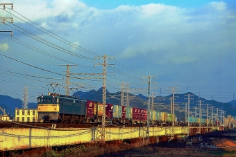 JR貨物 国鉄EF65形電気機関車 EF65 103 鉄道フォト・写真 by 丹波篠山さん 姫路駅：2000年10月17日00時ごろ