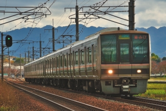 クハ206-2013 鉄道フォト・写真