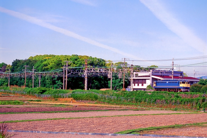 JR貨物 国鉄EF65形電気機関車 EF65 1133 鉄道フォト・写真 by 丹波篠山さん 島本駅：2005年04月13日00時ごろ