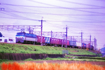JR貨物 国鉄EF66形電気機関車 EF66 129 鉄道フォト・写真 by 丹波篠山さん 高槻駅：2005年04月18日00時ごろ
