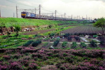 サハE531-4 鉄道フォト・写真