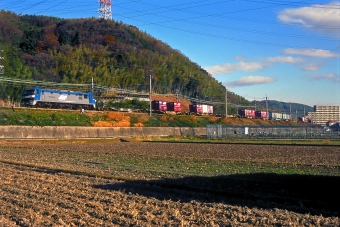 EF210-901 鉄道フォト・写真