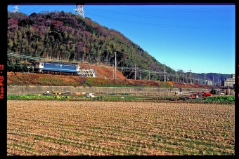 JR西日本 国鉄EF65形電気機関車 EF65 1128 鉄道フォト・写真 by 丹波篠山さん 高槻駅：2005年02月11日00時ごろ