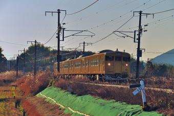 クハ115-3111 鉄道フォト・写真