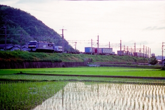 JR貨物 EF210形 EF210-9 鉄道フォト・写真 by 丹波篠山さん 高槻駅：2005年06月22日00時ごろ