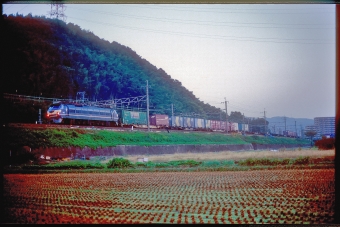 JR貨物 EF66形 EF66 27 鉄道フォト・写真 by 丹波篠山さん 高槻駅：2005年10月30日00時ごろ