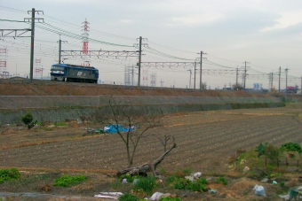 JR貨物 EF210形 EF210-113 鉄道フォト・写真 by 丹波篠山さん 高槻駅：2006年02月14日15時ごろ