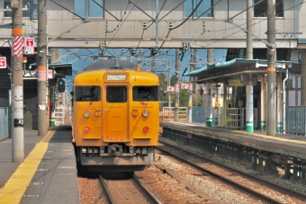 クハ115-2013 鉄道フォト・写真
