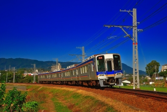南海2000系 鉄道フォト・写真