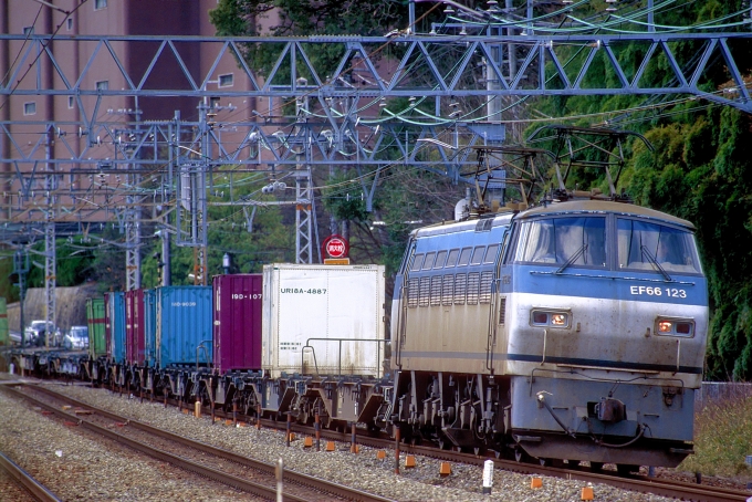 JR貨物 国鉄EF66形電気機関車 EF66 123 鉄道フォト・写真 by 丹波篠山さん 山崎駅 (京都府)：1999年02月13日00時ごろ
