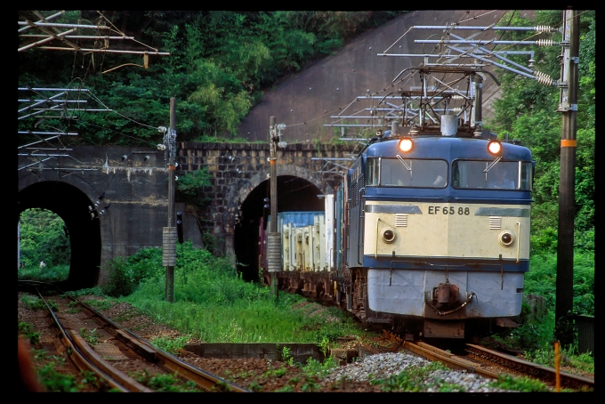 JR貨物 国鉄EF65形電気機関車 EF65 88 鉄道フォト・写真 by 丹波篠山さん 厚東駅：2001年07月29日00時ごろ