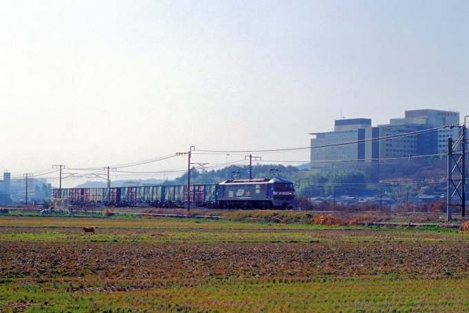 JR貨物 EF210形 EF210-106 鉄道フォト・写真 by 丹波篠山さん 中庄駅：2006年03月15日00時ごろ