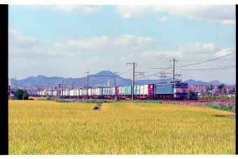 JR貨物 国鉄EF65形電気機関車 EF65 52 鉄道フォト・写真 by 丹波篠山さん 加古川駅：1996年10月10日00時ごろ