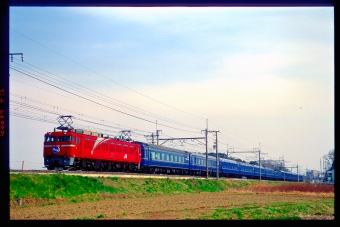 JR東日本 国鉄EF81形電気機関車 北斗星(特急) EF81 99 鉄道フォト・写真 by 丹波篠山さん 蓮田駅：2003年03月30日00時ごろ