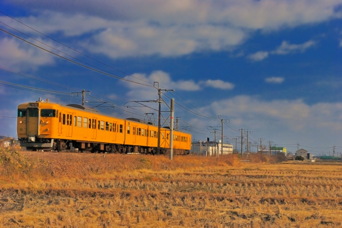 JR西日本 クハ115-1405 (115系) 車両ガイド | レイルラボ(RailLab)