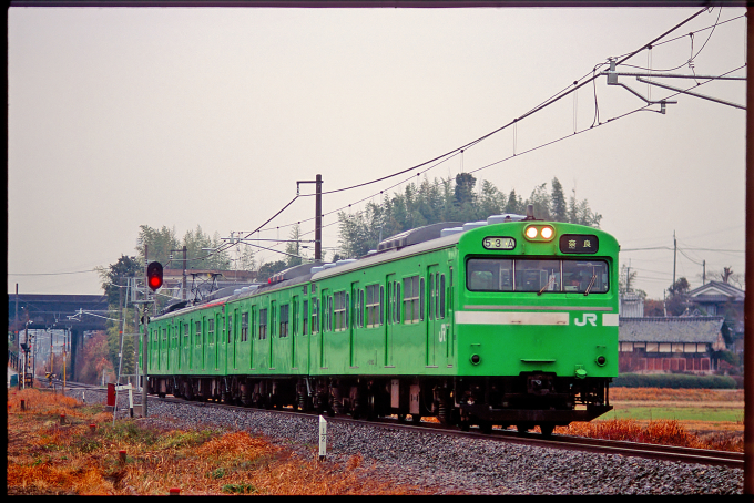 ラパ産ポイント-103-2