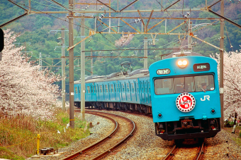 国鉄番号板クハ１１６−１５ 国鉄番号板クハ116−15 国鉄番号板クハ116−15 JR西日本