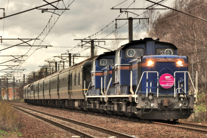 JR北海道 DD51 1143 (DD51形) 車両ガイド | レイルラボ(RailLab)