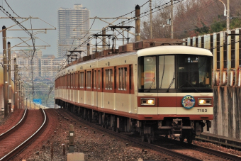 JR東日本E233系電車 クハE233-26 西国分寺駅 鉄道フォト・写真 by くら