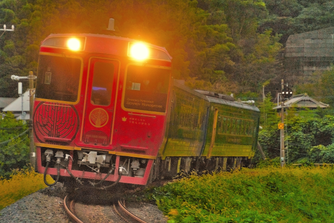 キハ185系 四国まんなか千年ものがたり編成 (高松運転所) 鉄道フォト