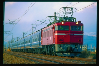 JR西日本 国鉄EF81形電気機関車 EF81 46 鉄道フォト・写真 by 丹波篠山さん 坂田駅：1998年02月08日00時ごろ