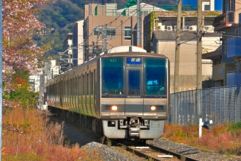 JR西日本 クハ206形 クハ206-1020 鉄道フォト・写真 by 丹波篠山さん ：2019年04月13日08時ごろ