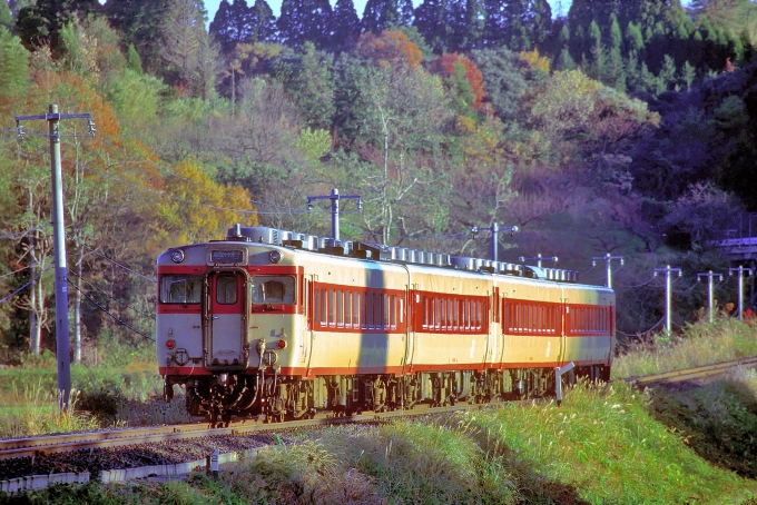 JR西日本 国鉄キハ58系気動車 キハ28 2463 泊駅 (鳥取県) 鉄道フォト 