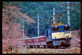 JR貨物 国鉄EF64形電気機関車 EF64 1042 鉄道フォト・写真 by 丹波篠山さん 鳩ノ巣駅：1998年04月03日00時ごろ