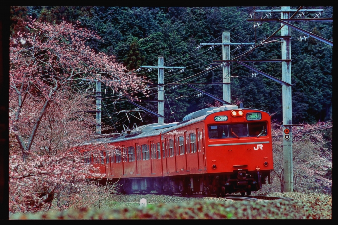 鉄道フォト・写真：JR東日本 国鉄103系電車  クハ103-404 鳩ノ巣駅 鉄道フォト・写真 by 丹波篠山さん - 撮影日 1998/04/03 00:00