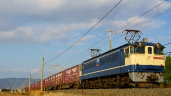 JR貨物 国鉄EF65形電気機関車 EF65-2081 鉄道フォト・写真 by tatakaさん 豊浜駅：2022年01月04日15時ごろ