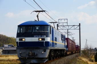JR貨物EF210形電気機関車 EF210-339 鉄道フォト・写真 by tatakaさん 海岸寺駅：2022年03月06日11時ごろ