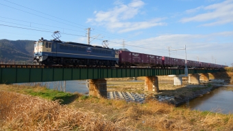 JR貨物 国鉄EF65形電気機関車 EF65-2092 鉄道フォト・写真 by tatakaさん 本山駅 (香川県)：2021年02月09日14時ごろ