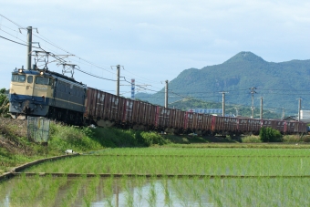 JR貨物 国鉄EF65形電気機関車 鉄道フォト・写真 by tatakaさん ：2021年05月22日15時ごろ