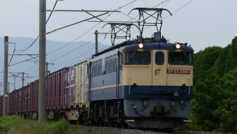 JR貨物 国鉄EF65形電気機関車 鉄道フォト・写真 by tatakaさん ：2021年05月26日15時ごろ
