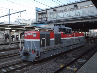 JR貨物 国鉄DE11形ディーゼル機関車 DE11 2004 鉄道フォト・写真 by おてもとくんさん 拝島駅 (JR)：2021年02月04日00時ごろ