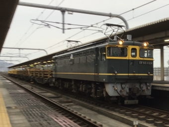 JR西日本 国鉄EF65形電気機関車 EF65-1124 鉄道フォト・写真 by 城國　燕さん 加古川駅：2021年09月13日17時ごろ