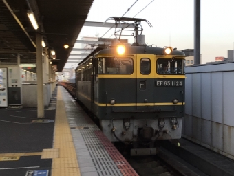 JR西日本 国鉄EF65形電気機関車 EF65-1124 鉄道フォト・写真 by 城國　燕さん 加古川駅：2021年10月02日17時ごろ