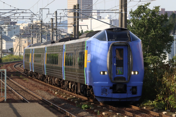 キハ261系 SE-203編成 (苗穂運転所) 徹底ガイド | レイルラボ(RailLab)