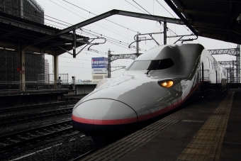 JR東日本 E444形(Tpsc) MAXたにがわ４０３号 E444-19 鉄道フォト・写真 by 特撮大好きさん 熊谷駅 (JR)：2021年09月18日08時ごろ
