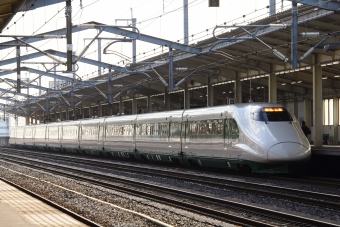 JR東日本 E224形(T2c) とき３１３号 E224-1116 鉄道フォト・写真 by 特撮大好きさん ：2022年11月18日10時ごろ