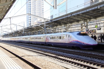 JR東日本 E223形(T1c) とき40号 Magical Dream Shinkansen E223-1019 鉄道フォト・写真 by 特撮大好きさん 高崎駅 (JR)：2024年03月02日09時ごろ