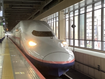 JR東日本 E4系 Maxたにがわ(新幹線) 鉄道フォト・写真 by 北国の星さん 大宮駅 (埼玉県|JR)：2021年03月20日10時ごろ