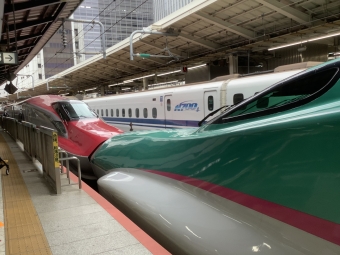JR東日本 E5系・E6系 はやぶさ・こまち 鉄道フォト・写真 by 北国の星さん ：2021年03月20日09時ごろ